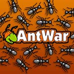 Ant War Ant War