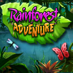 Rainforest Adventure