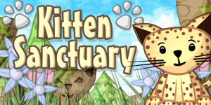 Kitten Sanctuary