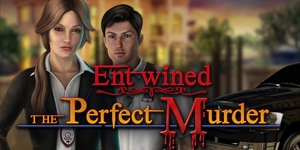 entwined the perfect murder walkthrough