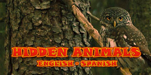 Hidden Animals : Photo Hunt . Hidden Object Games for windows download free