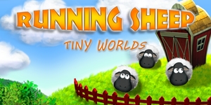 tobin running sheep directions