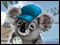 Big City Adventure Sydney Deluxe