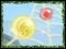 Rainbow Web 3 Deluxe