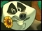 Zooloretto Deluxe