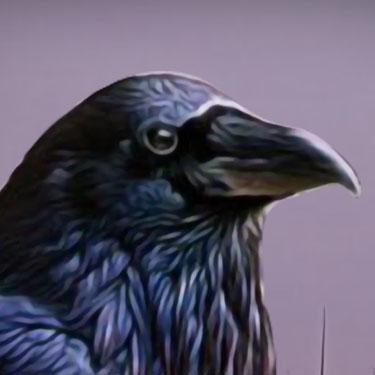 Mystery Solitaire The Black Raven Series - Mystery Solitaire The Black Raven 2