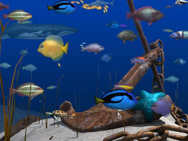 big kahuna reef 3 free download plus crack