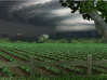 Nancy Drew(R) - Trail of the Twister screenshot 1
