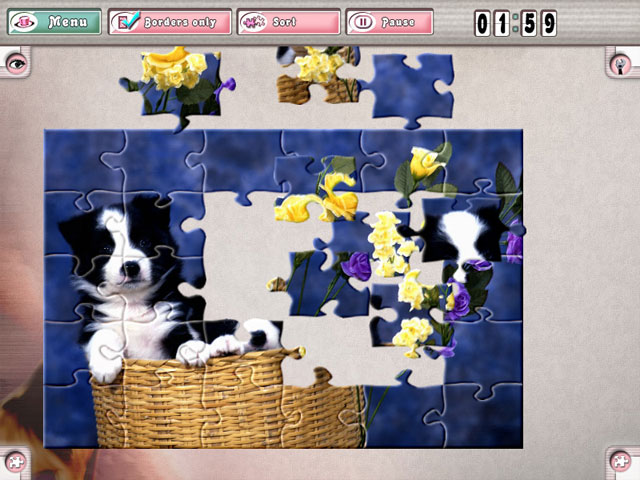 Pastime Puzzles Free Full Version