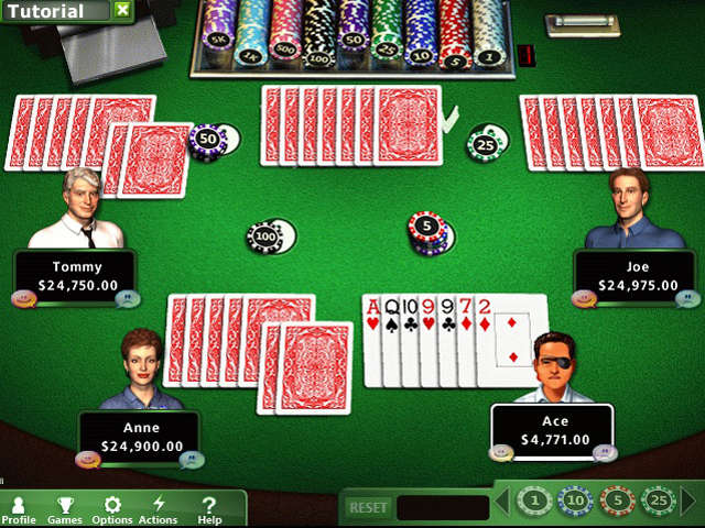 play hoyle casino games free online