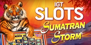 Igt Slots Sumatran Storm