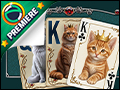 Jewel Match Solitaire Cats and Cards Deluxe