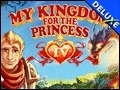 My Kingdom for the Princess IV