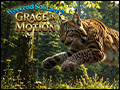 Weekend Solitaire Grace in Motion Deluxe