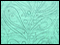 Paint by Numbers 16 Deluxe