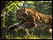 Weekend Solitaire Grace in Motion Deluxe