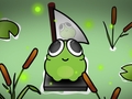 About a Frog
