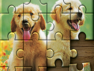 Jigsaw Puzzle