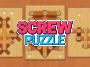 Wood Screw Puzzle
