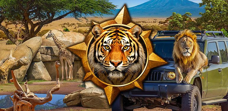 GameHouse Exclusive Games - Adventure Trip - Amazing Wildlife Collector's Edition