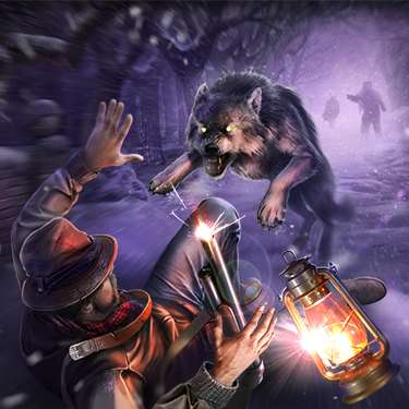 Mystery Case Files Series - Mystery Case Files - Dire Grove, Sacred Grove Platinum Edition