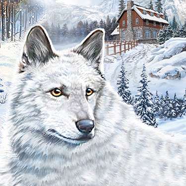 Nancy Drew Series - Nancy Drew - The White Wolf of Icicle Creek