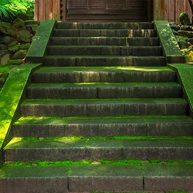 Hidden Object Games - Nature Escapes 4 Collector's Edition