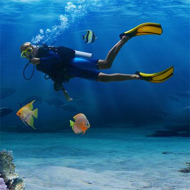 Hidden Object Games - Sea Life Explorer Collector's Edition