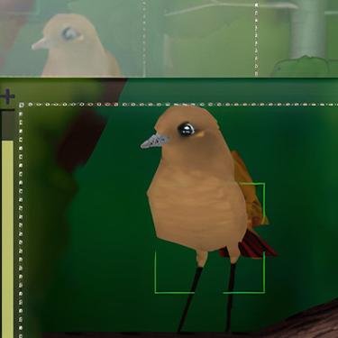Hidden Object Games - Snapshot Adventures - Secret of Bird Island
