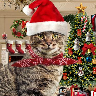 Match 3 Games - Suddenly Meow Christmas